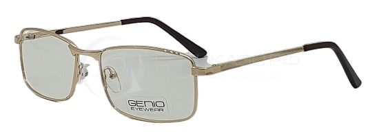Оправа GENIO V 31279