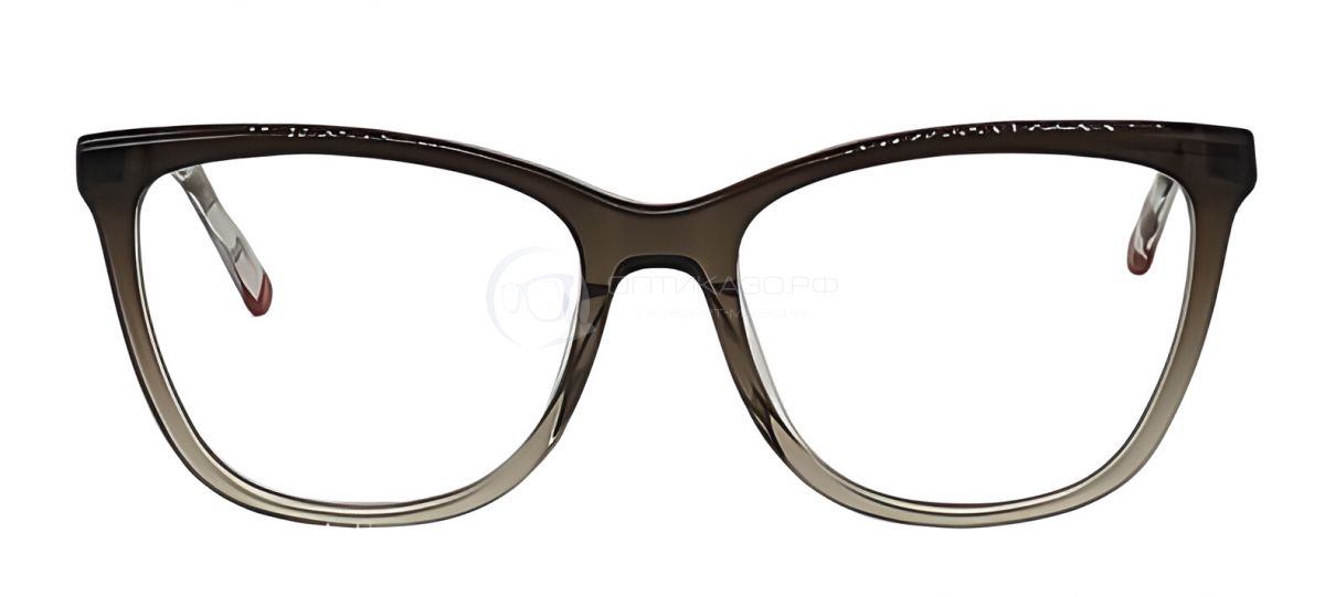 Оправа Aristocrat ZL 2206