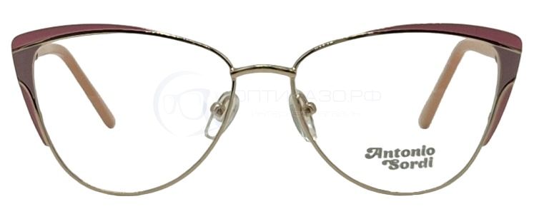 Оправа Antonio Sordi EF 3304