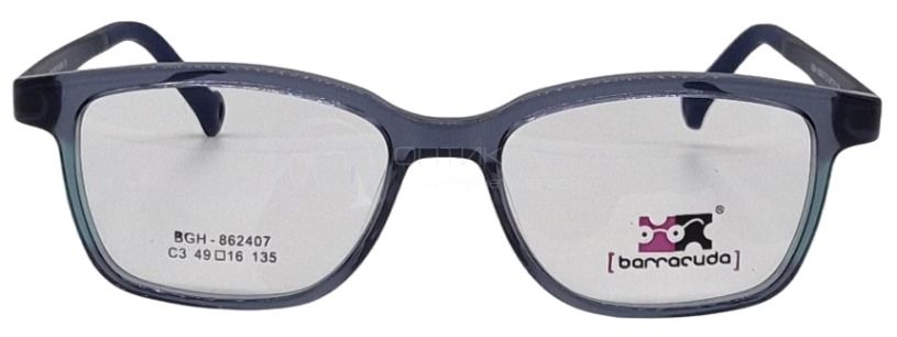 Оправа Barracuda BGH 862407 с футляром