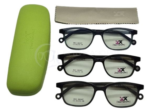 Оправа Barracuda BGH 862407 с футляром