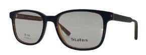 Оправа STATUS ST 3656